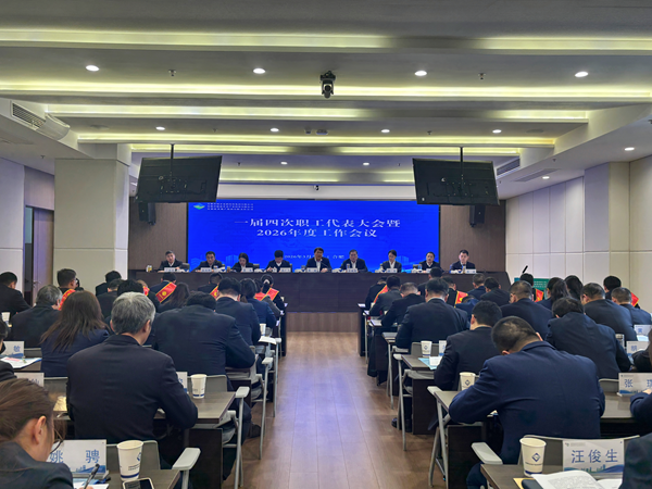 bbin宝盈集团官网集团等三家公司召开一届四次职工代表大会暨2026年度工作会议